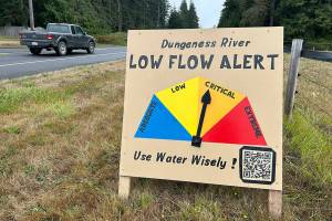 David Brehm, Jeene Hobbs, Barbara VanderWerf and Ann Soule from the Clallam County League of Women Voters stand with a new sign that shows the level of water flow for the Dungeness River. While the river flow was considered critical on Aug. 23, levels improved slightly to "low" flow later that night. 
The sign, just west of Knutsen Farm Road on Old Olympic Highway, will be updated weekly, organizers said. (Matthew Nash/Olympic Peninsula News Group)