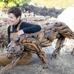 Molly Omann will show her driftwood sculptures at the Sequim Art Museum in September.