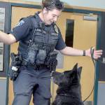 Port Angeles Police Officer Whitney Fairbanks plays with her dog Copper during a presentation to the Port Angeles Noon Rotary Club at the Wildcat Cafe. Fairbanks and Sgt. Kevin Miller each brought their K-9 officers to the demonstration. (Keith Thorpe/Peninsula Daily News)