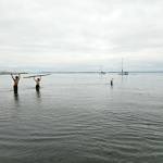 During an overhead static press lift and walk of a log, Port Townsend High School athletes Manaseh Lanphear Ramirez and Grady White both opted to challenge themselves above their knees, while Silas Klontz submerged himself beyond his armpits.