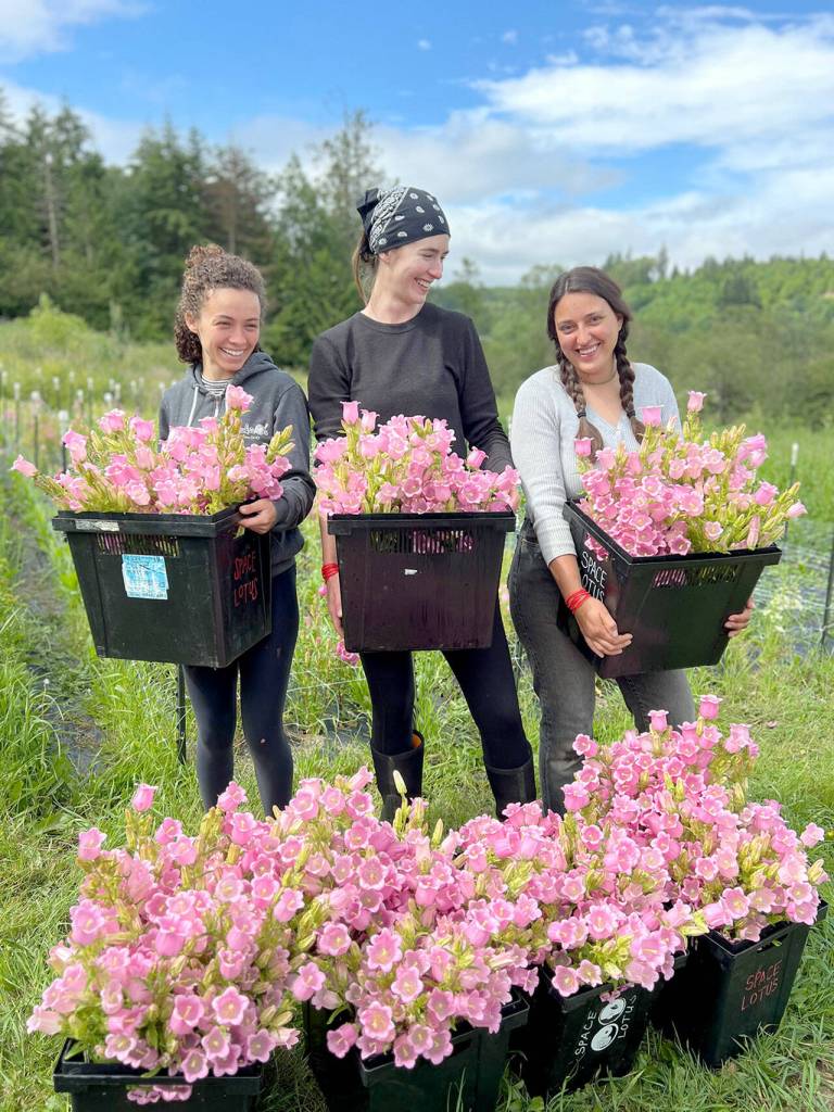 Sarah Lathrop, Julia-Ellen Spruill-Smith and Yasmin Ahmad at White Lotus Farm, harvesting campanula flowers for Space Twins Provisions. (Jefferson County Farm Tour)