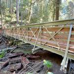 The Whiskey Creek bridge, located near milepost 18 on the 25-mile Olympic Adventure Trail route, is 60 feet long, 6 feet wide and cost about $83,106. (Clallam County)