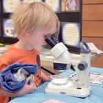 Sage Barker, 5, of Vancouver, British Columbia, peers at tiny sea creatures at an educational table operated by the Feiro Marine Life Center during Fridays Dungeness River Festival at the Dungeness Nature Center in Sequim. The event brought together a variety of environmental and educational agencies in a celebration of the outdoors and conservation. (Keith Thorpe/Peninsula Daily News)