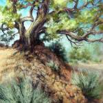 High Desert Zen by Suzan Noyes joins the Duet exhibit at the A. Milligan Gallery.