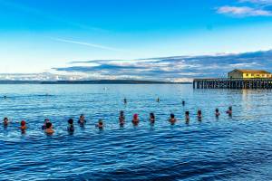 About two dozen took part in a community cold plunge in the 48-degree waters of Port Townsend Bay on Thursday to celebrate the biggest super moon of the year. Although the moon wasnt due to rise for at least another hour, that didnt dampen the participants entry into the bay next to the Port Townsend Marine Science Center aquarium. (Steve Mullensky/for Peninsula Daily News)