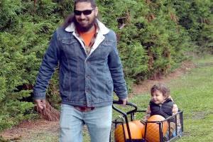 Patrick Young of Sequim pulls a cart containing his son, Ellis Young, 2 1/2, and freshly picked pumpkins on Saturday at the pumpkin patch at Agnew Grocery east of Port Angeles. The family was out in a light rain to collect the perfect Jack o Lantern for Halloween. (Keith Thorpe/Peninsula Daily News)