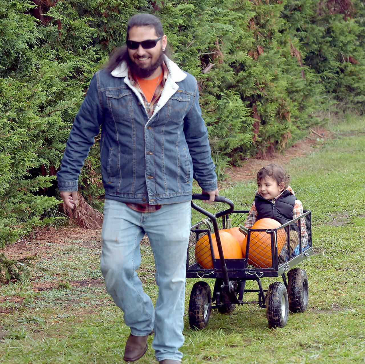 Patrick Young of Sequim pulls a cart containing his son, Ellis Young, 2 1/2, and freshly picked pumpkins on Saturday at the pumpkin patch at Agnew Grocery east of Port Angeles. The family was out in a light rain to collect the perfect Jack o Lantern for Halloween. (Keith Thorpe/Peninsula Daily News)