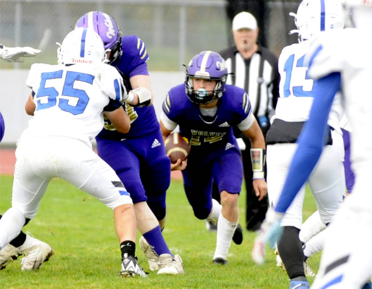 Sequims Zeke Schmadeke looks for room to run against Olympic on Saturday. The Wolves moved the ball, but three fumbles cost them dearly in a 28-7 loss. (Matthew Nash/Olympic Peninsula News Group)