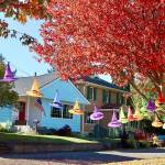 A line of colorful witches hats is strung between autumn trees in the 300 block of west 10th street in west Port Angeles.  dlogan