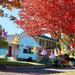 A line of colorful witch hats is strung between autumn trees in the 300 block of west 10th street in west Port Angeles. (Dave Logan/For Peninsula Daily News)