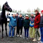 Photo by Karen Griffiths
When Ukrainian musical group Kommuna Lux played at the Palindrome recently they met up with Paradigm Sporthorse Trainer Rebecca Cushman to see her two Ukrainian Warmblood imports Tux (shown) and Artist. From left Sergei Zhuravel, Volodymyr Gitin, Bagrat Tsurkan, Oleg Vasianovych, Sergei Poltorak and Yaroslav Besh. They’re currently touring the U.S. and Cananda to raise money to aid their fellow citizens affected by Russian’s military attacks.