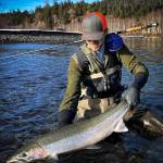 Rivers Journey Guide Service
Forks guide Caylen Phegley caught and released this steelhead buck to start the 2023-24 winter steelhead season.