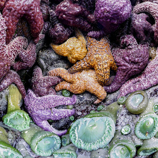 Colors of the Sea II by Chimacum photographer Jeff Sweet is among the small works at Northwind Arts Jeanette Best Gallery. The Port Townsend venue will take part in Saturday evenings Art Walk. (Jeff Sweet)