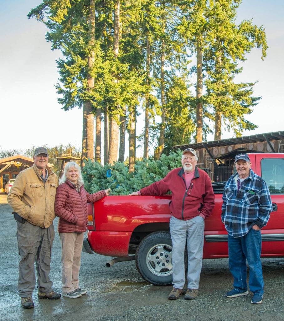 From right, Mark Silkas and Steve Sahnow receive a donated Noble fir from Ann and Steve Johnson at the Lazy J Tree Farm to be the Giving Tree sponsored by the Friends of Sequim outside of Habitat for Humanity, which is hung with personal care items and presents for passersby, who also are encouraged to leave behind a present. (Emily Matthiessen/Olympic Peninsula News Group)