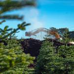 Graham Johnson turns over compost at the Lazy J Tree Farm. (Emily Matthiessen/Olympic Peninsula News Group)