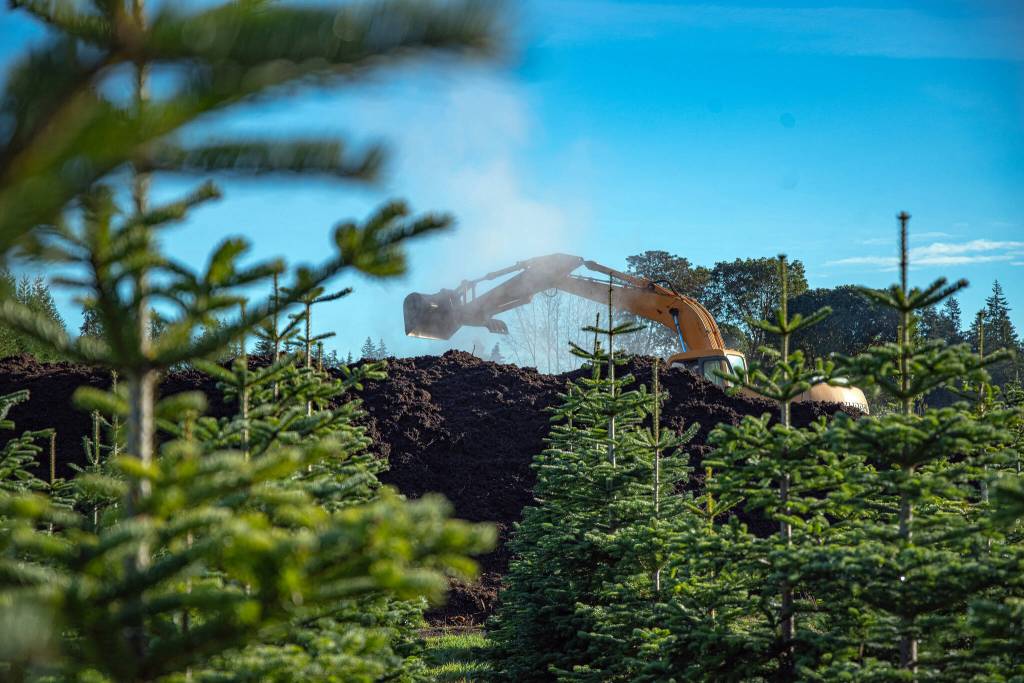 Graham Johnson turns over compost at the Lazy J Tree Farm. (Emily Matthiessen/Olympic Peninsula News Group)