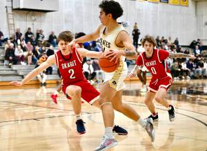 Jay Cline/Peninsula College Athletics 
Peninsulas Isaiah Lopez makes contact with Skagit Valleys Parker Nickerson, a 2024 Port Angeles High School graduate, during the Pirates 72-60 loss to the No. 1 ranked Cardinals.