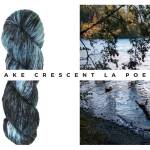 Since its inception, Cabled Fiber & Yarn has added two colors each year and in 2024 those were Lichen and Olympic Fungi. Photo courtesy of Cabled Fiber & Yarn.