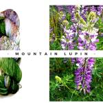 Mountain Lupin is a popular favorite color. Photo courtesy of Cabled Fiber & Yarn.