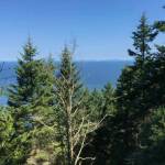 The state is looking to turn Miller Peninsula, a 2,800-acre undeveloped park east of Sequim, into a destination state park with a visitors center, cabins, picnic areas and more. Some locals oppose the move. (Warren Wilson)