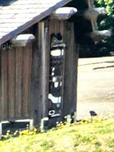 Two Totem Poles were missing from The Quileute Tribes 101 Building in Forks.