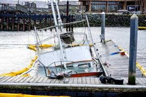 A yellow oil-containment boom surrounds the 60-foot power cruiser Goldfinch after it sank at the Point Hudson Marina on Saturday. The boat was on its way from Seattle to Anacortes when it started taking on water. It made it to the Point Hudson and struck the breakwater as it entered the harbor but was able to be steered into slip 3, where it immediately sank. Port of Port Townsend staff responded and deployed the hard boom and absorbent material to contain the fuel spill. As of Monday afternoon, about 1,000 gallons of diesel had been recovered by Global Diving and Salvage with 650 gallons from the fuel tanks of the Goldfinch and the remainder being sopped up by absorbent material. The U.S. Coast Guard and the state Department of Ecology responded and performed additional containment. A plan for recovery was in the works, but it wasnt expected to begin before Wednesday due to weather. (Steve Mullensky/for Peninsula Daily News)
