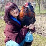 Shayna Robnett and Russell the rooster will be at the Blue Whole Gallery in Sequim during Fridays Art Walk.