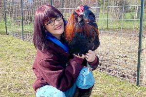 Shayna Robnett and Russell the rooster will be at the Blue Whole Gallery in Sequim during Fridays Art Walk.