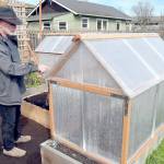 Milan Pohl of Port Angeles points out the features of a greenhouse he built to cover a portion of his plot at the Fifth Street Community Garden in Port Angeles. Pohl said on Friday that the greenhouse and a twin structure on an adjoining bed would be used to grow eggplant, peppers and other heat-loving plants. (Keith Thorpe/Peninsula Daily News)