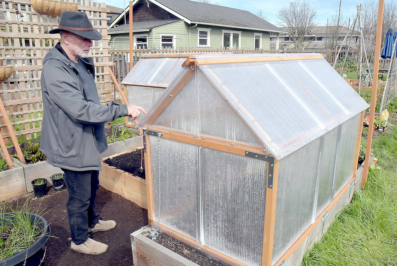 Milan Pohl of Port Angeles points out the features of a greenhouse he built to cover a portion of his plot at the Fifth Street Community Garden in Port Angeles. Pohl said on Friday that the greenhouse and a twin structure on an adjoining bed would be used to grow eggplant, peppers and other heat-loving plants. (Keith Thorpe/Peninsula Daily News)