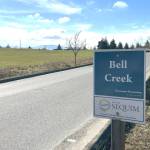 The 104-lot Bell Creek Major Subdivision and 24-lot Bella Vista Estates recently were approved by Sequim Hearing Examiner Peregrin Sorter. (Matthew Nash/Olympic Peninsula News Group)