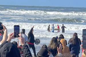 Four Quileute Tribal School students take a salmon offering into the ocean as part of the annual Welcoming the Whales ceremony at First Beach in La Push on Friday. (Christi Baron/Olympic Peninsula News Group)