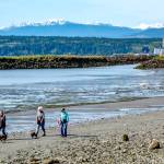 Three friends and their dogs take advantage of a low tide to enjoy morning beach walk along Port Townsend Bay. The snow-capped Olympic Mountains glow in the background. (Steve Mullensky/for Peninsula Daily News)