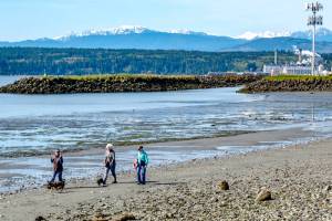 Three friends and their dogs take advantage of a low tide to enjoy morning beach walk along Port Townsend Bay. The snow-capped Olympic Mountains glow in the background. (Steve Mullensky/for Peninsula Daily News)
