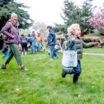 This excited toddler is focused on his next prize and misses the ones right in front of him during the 95th annual Port Townsend Elks Club Easter Egg Hunt at Chetzemoka Park on Sunday. Volunteers hid more than 1,500 plastic eggs around the park with some redeemable for prizes. (Steve Mullensky/for Peninsula Daily News)