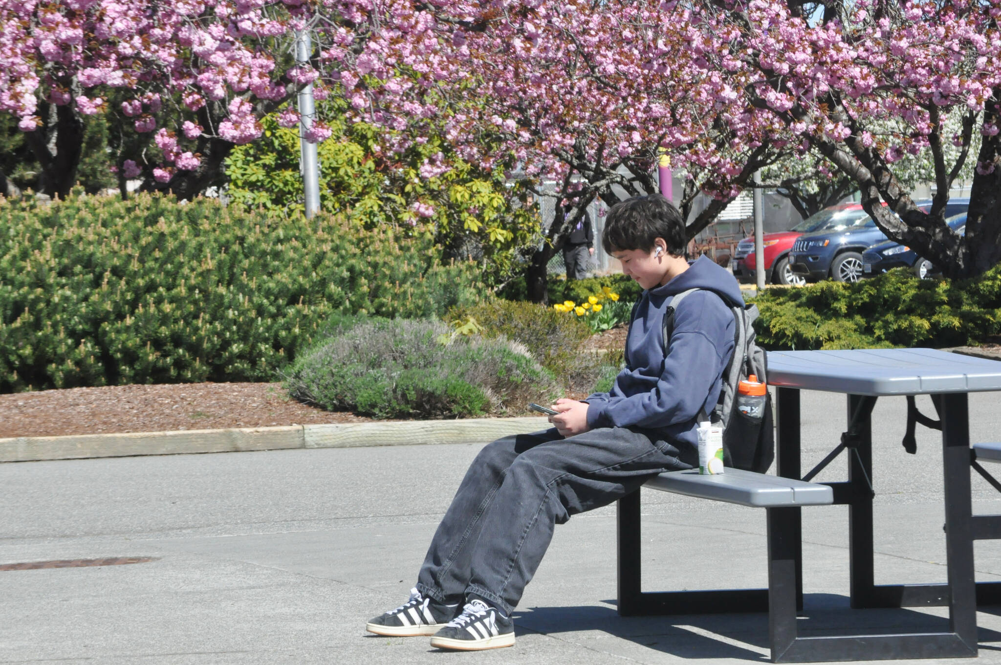 Sequim High School freshman Sebastian Greimes sits outside during a lunch break. He opposes a total ban on cell phones as he feels it could be more harmful than helpful as some students need to communicate with parents or their workplace. Sequim School District leaders plan to send out a survey in June asking families and school staffers their thoughts on cell phone usage in schools. (Matthew Nash/Olympic Peninsula News Group)