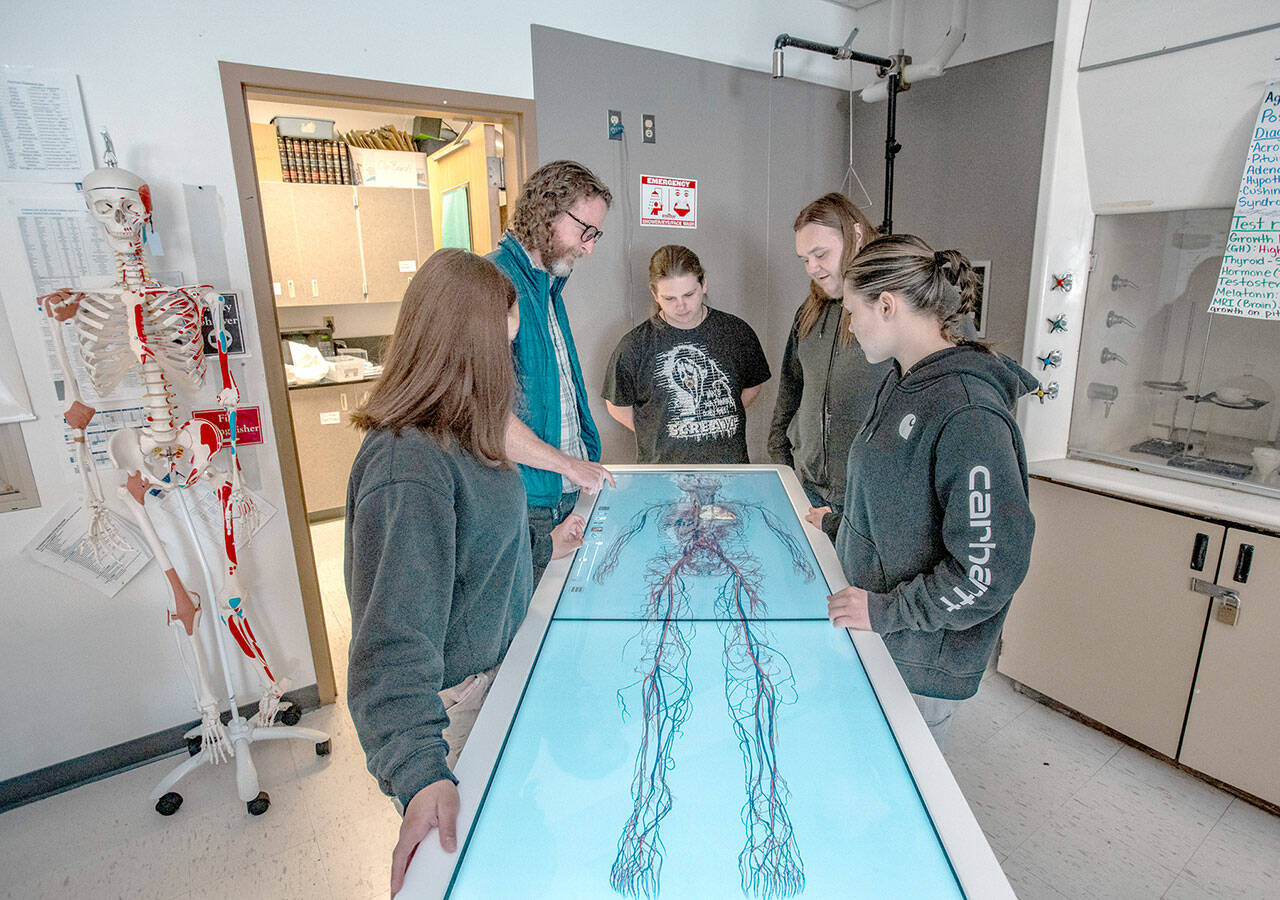 Chimacum High School Human Body Systems teacher Tyler Walcheff, second form left, demonstrates to class members Aaliyah LaCunza, junior, Connor Meyers-Claybourn, senior, Deegan Cotterill, junior, second from right, and Taylor Frank, senior, the new Anatomage table for exploring the human body. The $79,500 table is an anatomy and physiology learning tool that was acquired with a grant from the Office of the Superintendent of Public Instruction and from the Roe Family Endowment. (Steve Mullensky/for Peninsula Daily News)