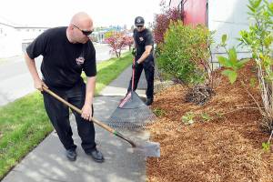 Port Angeles Fire Department Capt. Travis McFarland, left, and firefighter/EMT Tom Muir spread landscaping bark as part of a project to beautify the landscape around the fire hall. Fire department personnel spent time on Tuesday sprucing up the station grounds. (Keith Thorpe/Peninsula Daily News)