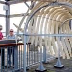 Stephen and Christine Humphries of Nottingham, United Kingdom, spend part of Monday looking over the skeleton of Gunther, the 4-year-old Pacific gray whale that washed ashore and died on a beach in Port Ludlow in 2019 and is now an educational exhibit for the Port Townsend Marine Science Center located on the Union Wharf in downtown Port Townsend. (Steve Mullensky/for Peninsula Daily News)