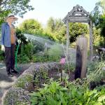 Master Gardener Cece Fitton of Sequim waters a patch of black-eyed Susans and phacelia, along with other pollinator plants, on Thursday at the groups demonstration garden at 2711 Woodcock Road near Sequim. The Woodcock Garden, operated through the Washington State University Extension office, features a classroom and an outdoor pavilion for seasonal lectures and workshops and is open to the public during daylight hours year-round. (Keith Thorpe/Peninsula Daily News)