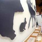 Aiden Murdoch, 11, and his sister, Sylvia Murdoch, 8, both of Akron, Ohio, examine a display of animal silhouettes, skulls and tracks on Friday at the Olympic National Park Visitor Center in Port Angeles. The pair were on a family vacation to the park with a stop at the visitor center. (Keith Thorpe/Peninsula Daily News)