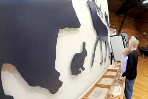 Aiden Murdoch, 11, and his sister, Sylvia Murdoch, 8, both of Akron, Ohio, examine a display of animal silhouettes, skulls and tracks on Friday at the Olympic National Park Visitor Center in Port Angeles. The pair were on a family vacation to the park with a stop at the visitor center. (Keith Thorpe/Peninsula Daily News)