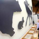 Aiden Murdoch, 11, and his sister, Sylvia Murdoch, 8, both of Akron, Ohio, examine a display of animal silhouettes, skulls and tracks on Friday at the Olympic National Park Visitor Center in Port Angeles. The pair were on a family vacation to the park with a stop at the visitor center. (Keith Thorpe/Peninsula Daily News)