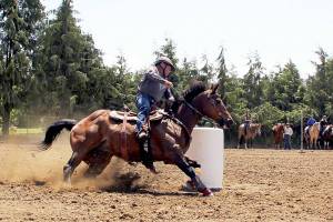 Photos by Karen Griffiths
Top: Earlier this month, Patterned Speed Horse Super Senior Division rider Sam Parks, 74, on Ed, finished the barrel race in just 15.08 seconds at the Crosby arena, 122 Franson Road in Agnew. The next show there will be July 5-6. Bottom: 4L arena belt buckle awards.