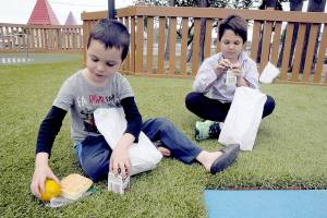Eragon Terry, 7, left, and his brother, Raphael Terry, 11, both of Port Angeles, sort the contents of free lunch bags received through the Summer Food Service Program on Wednesday at the Dream Playground at Erickson Playfield in Port Angeles. The program, administered by the Boys & Girls Clubs of the Olympic Peninsula, provides free meals to all youngsters younger than 18 Monday through Friday at 11 locations in Port Angeles and Sequim. About 250 meals per day are available at the Dream Playground, the Boys & Girls Clubs Turner Unit, Jefferson Elementary School, Shane Park and Evergreen Family Village in Port Angeles, as well as the Boys & Girls Clubs Carroll C. Kendall Unit, Greywolf Elementary School, Carrie Blake Park, Elk Creek Apartments, Mountain View Court Apartments and SeaBreeze Apartments in Sequim. (Keith Thorpe/Peninsula Daily News)