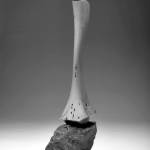 Traveling with Dignity by Len Zeoli