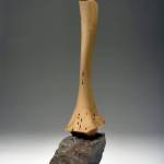 Traveling with Dignity by Len Zeoli