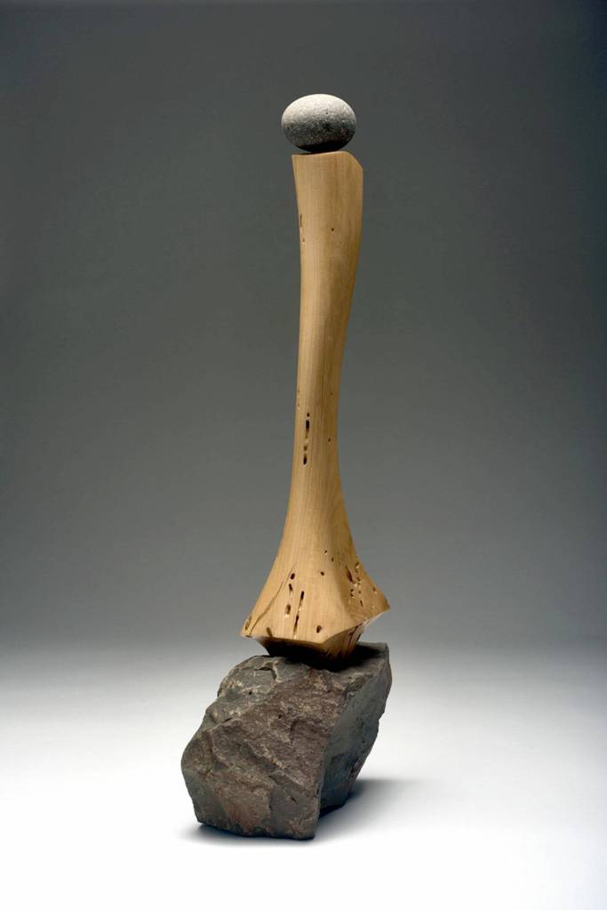 Traveling with Dignity by Len Zeoli.