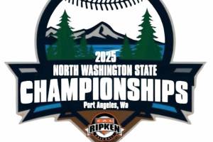 Cal Ripken baseball.