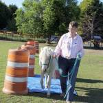 Karen Griffiths
Rainshadow Equine Sanctuary Teams Debi Pavlich-Boaz leads Paliday calmly over a blue tarp as part of his daily training routine. She worked with the Yakima Sheriffs Department to capture the mini stallion when he was running alongside a freeway, deftly evading capture. Without her help, and an offer to take him home, the sheriffs department planned on taking the then-untrained pony to a local holding pen to await transport to a slaughter house in Canada. Instead, Paliday is now happily living the rest of days out as a gelding at the sanctuary.